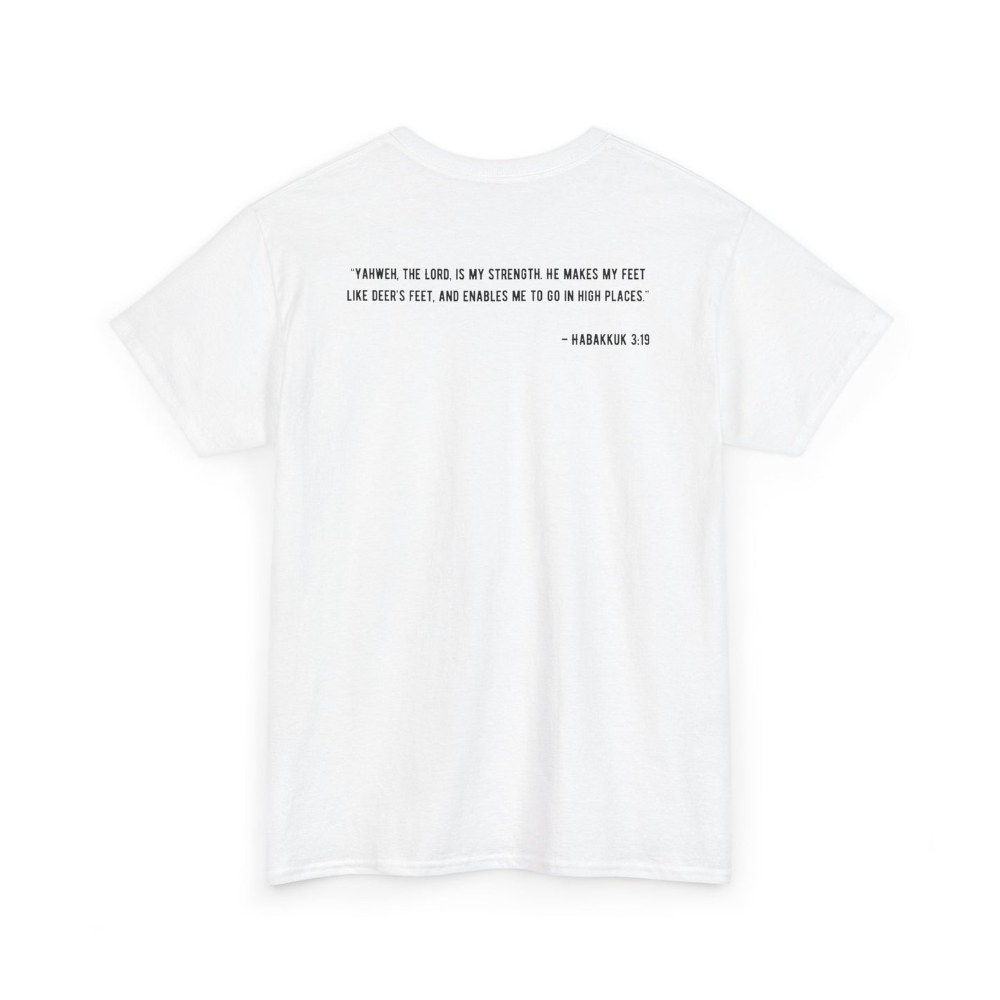 Habakkuk 3:19