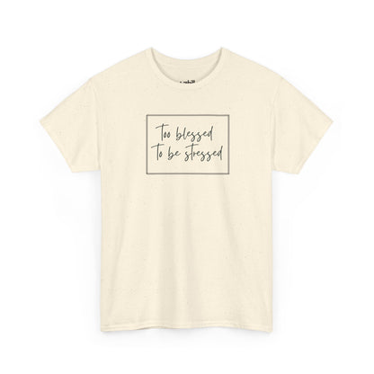 Too Blessed to Be Stressed