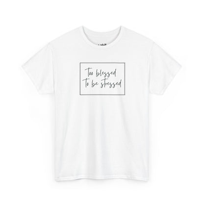 Too Blessed to Be Stressed